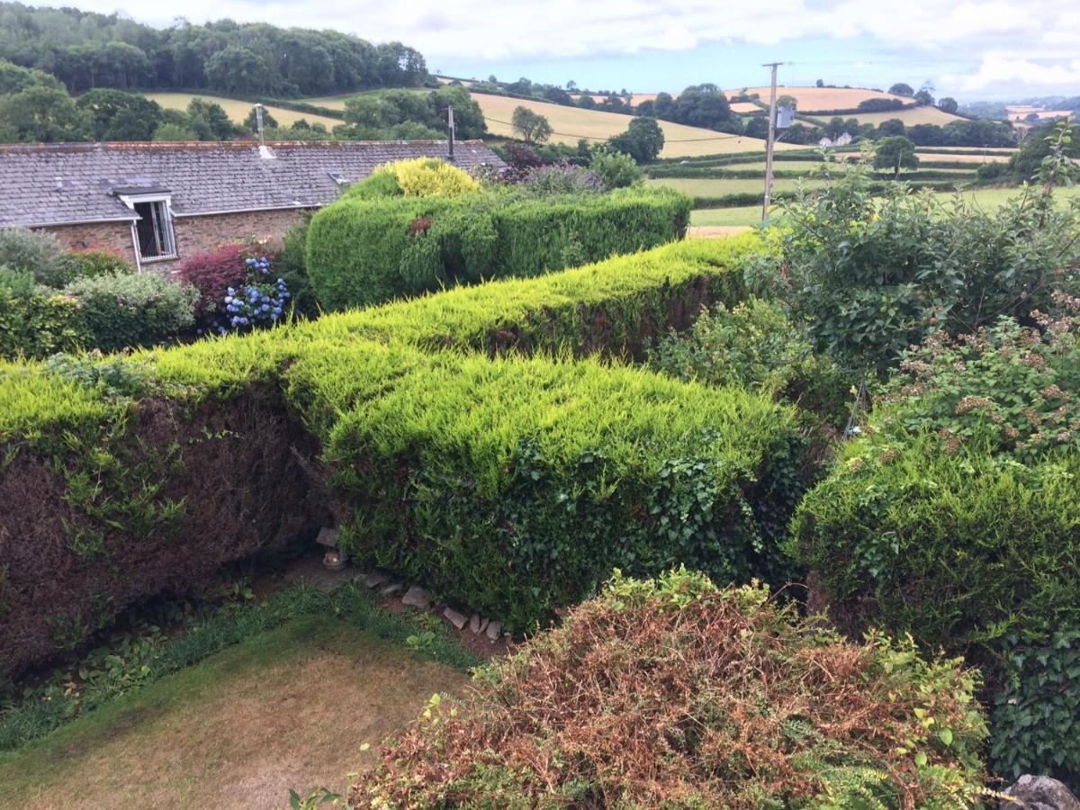 The Grange Accommodation, Waye Farm, Ermington, Devon Holbeton Dış mekan fotoğraf